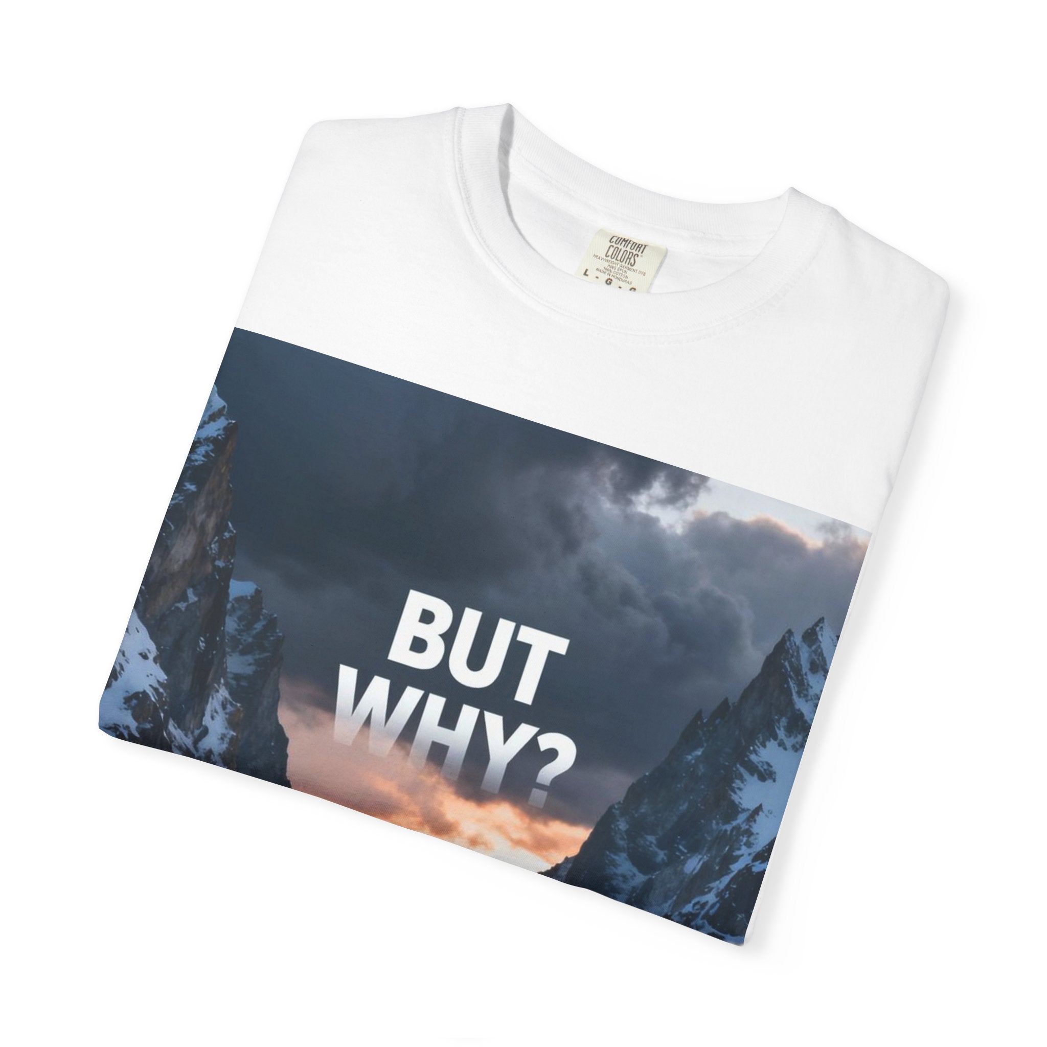 But Why? Penguin Graphic T-Shirt — Adventure Quote Tee